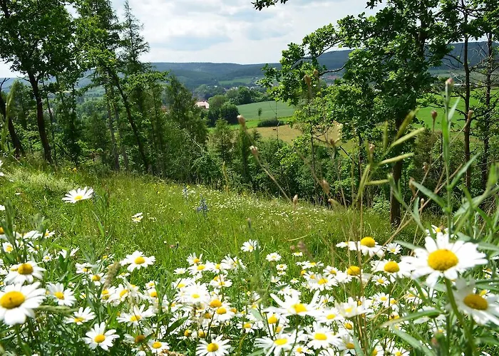 Velcrea 酒店 维勒巴德森